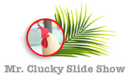 Mr. Clucky Slideshow